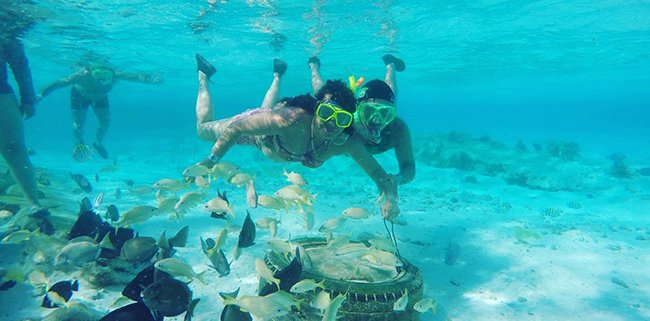 import placeholder for 193