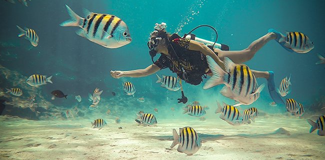 import placeholder for 202