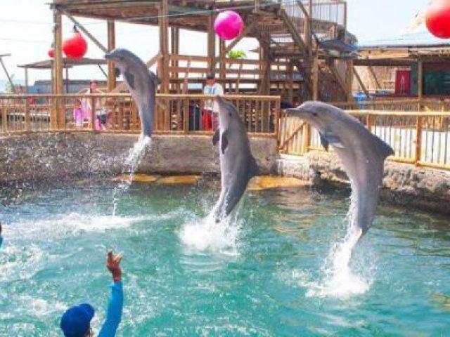 acuario y playa blanca 3 600x296