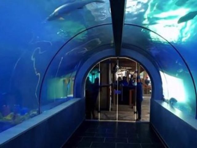 acuario y playa blanca 600x296