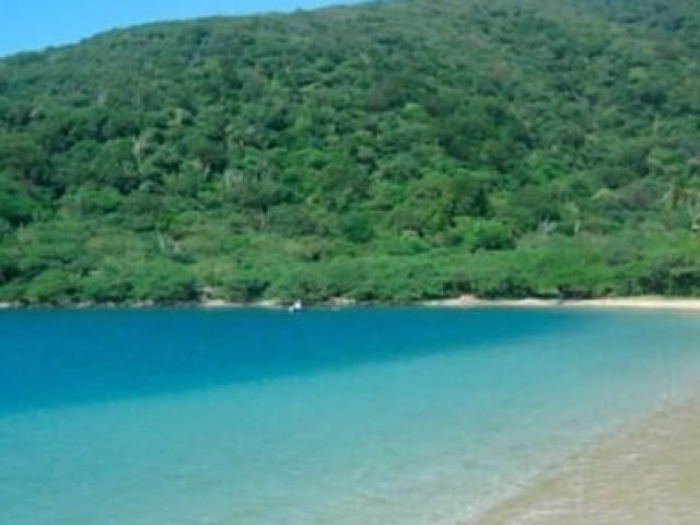 bahia concha tayrona chiva 2 600x296