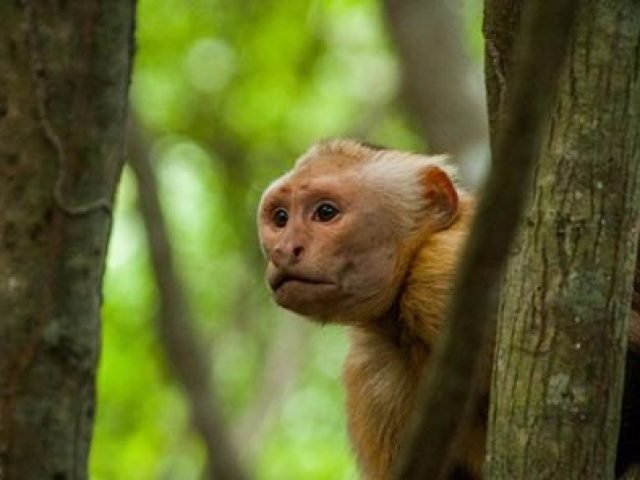 cabo san juan 2 600x296