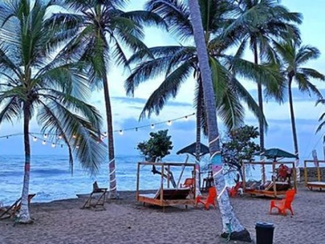 donaire palomino 9 600x296