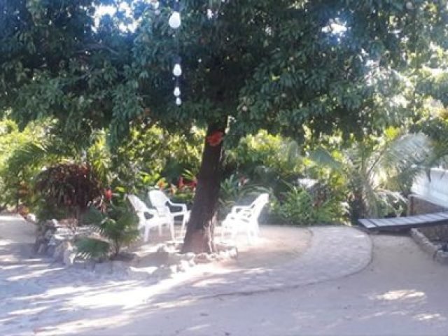 finca en alquiler 14 600x296